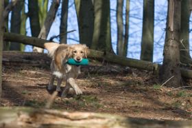 _D4D8891-Bearbeitet.jpg