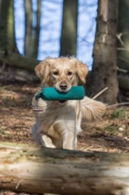 _D4D8893-Bearbeitet.jpg