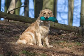 _D4D8956-Bearbeitet.jpg
