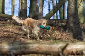 _D4D8963-Bearbeitet.jpg